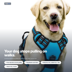 Your dog stops pulling on walks - TrekGrip no-pull harness